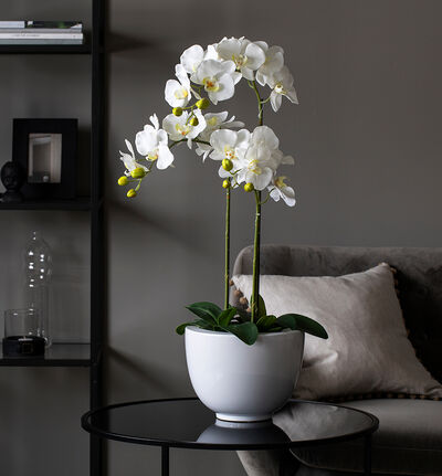 Kunstig hvit orkide Kunstig hvit orkide